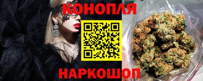сатива Будённовск