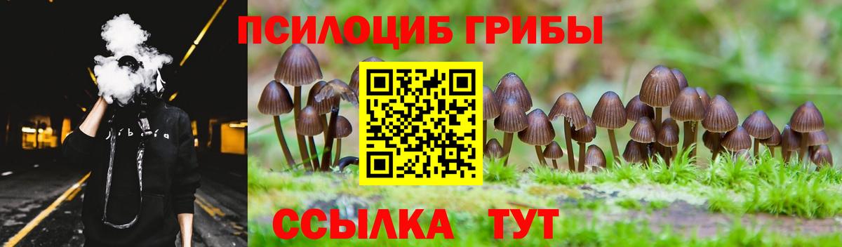 Псилоцибиновые грибы Psilocybine cubensis Красноперекопск